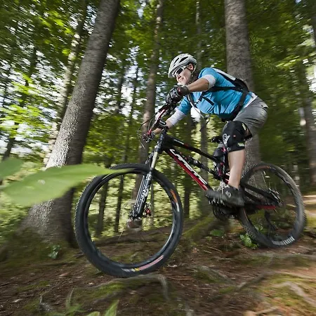 Hotel-restaurant Sternen ホテル