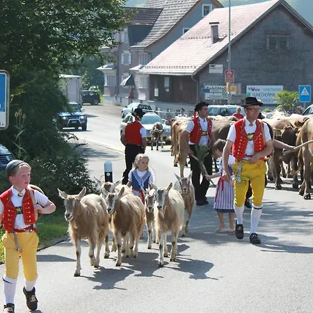 מלון Hotel-restaurant Sternen 3*