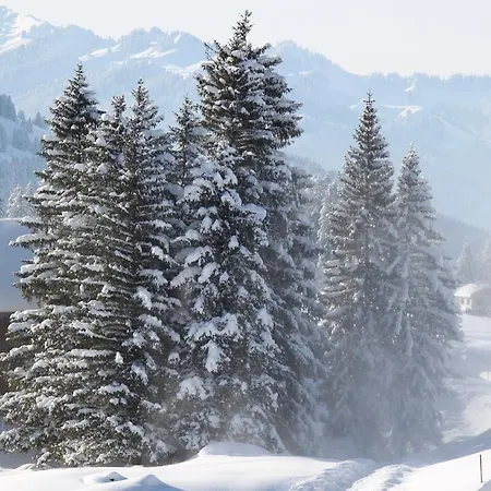 Hotel-restaurant Sternen מלון Nesslau