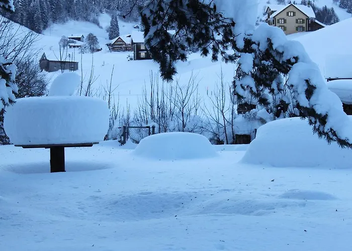 Hotel-restaurant Sternen 3* Nesslau