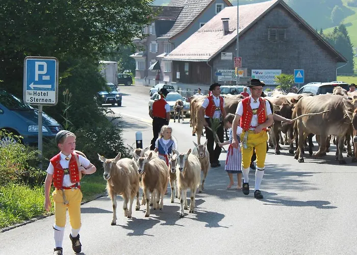 Hotel Hotel-restaurant Sternen 3*