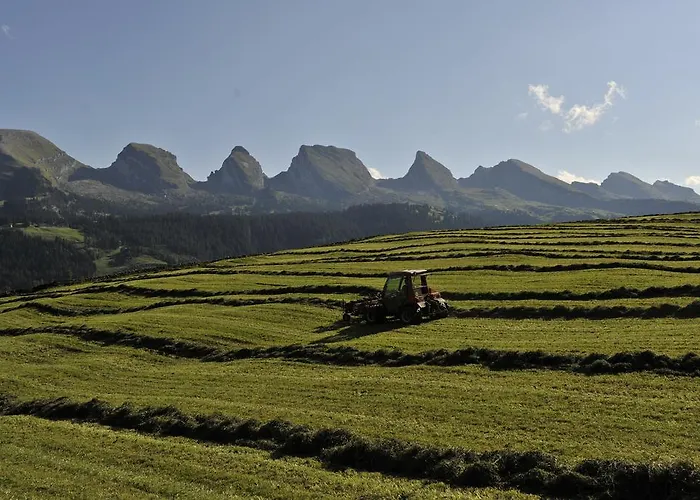 فندق Hotel-restaurant Sternen