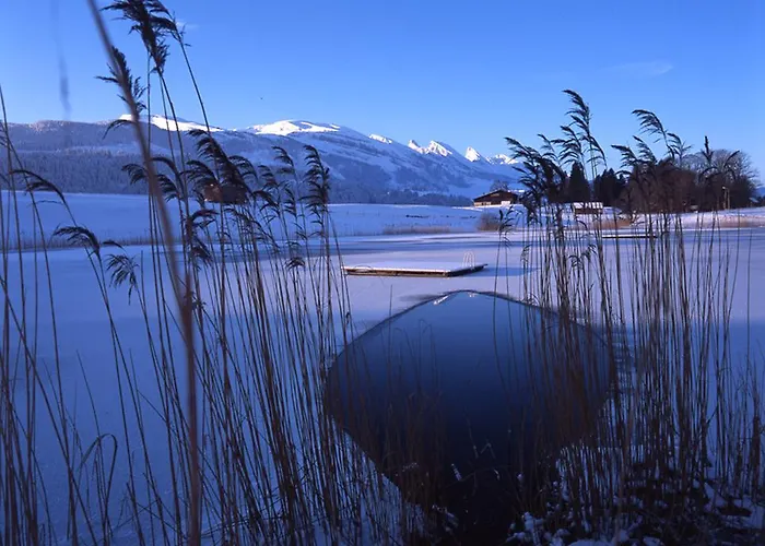 فندق Hotel-restaurant Sternen